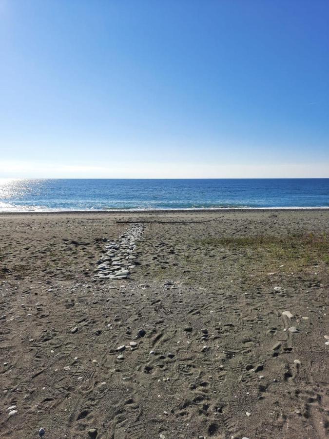 Гостевой Дом La Mer Pizunda Exterior photo